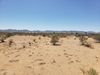 3629 N Teddy Roosevelt Rd photo